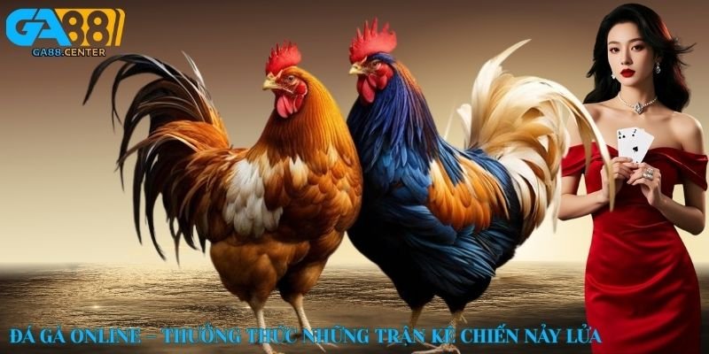 Đá gà online – Thưởng thức những trận kê chiến nảy lửa