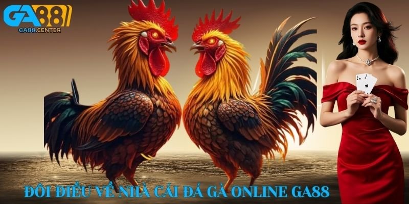 Đôi điều về nhà cái đá gà online GA88