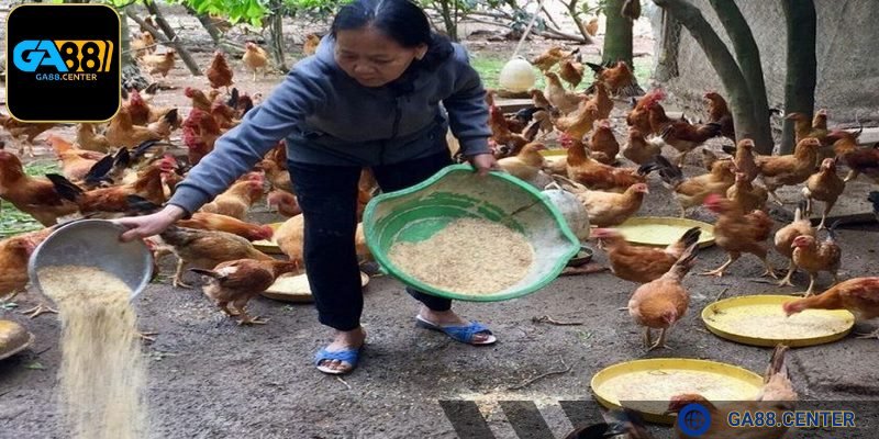 Chế độ ăn phải linh hoạt theo từng giai đoạn phát triển