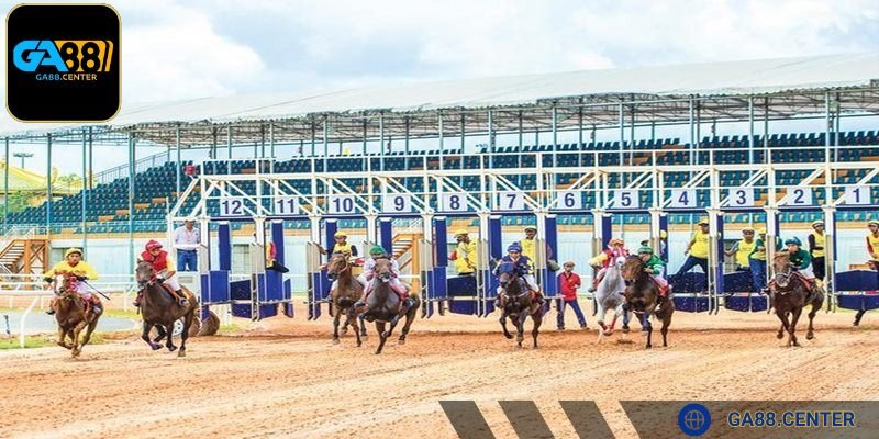 Phần thưởng sẽ được hệ thống chuyển tự động cho người thắng