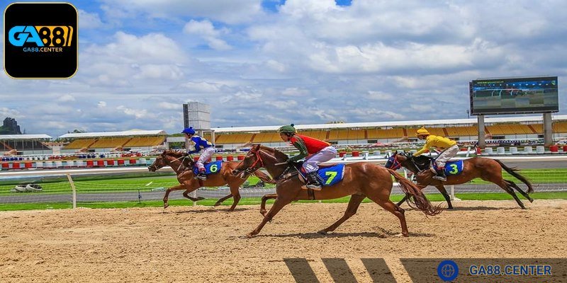 Sự đa dạng của các loại cược giúp bạn có thêm nhiều lựa chọn