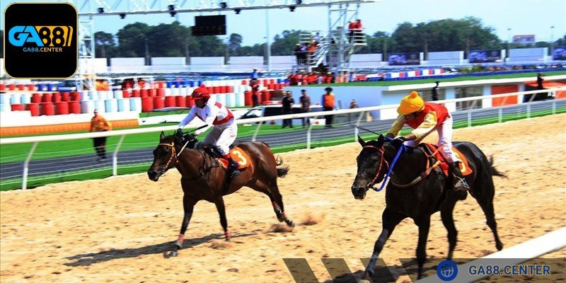 Cược thủ khôn ngoan cần tổng hợp dữ liệu nhiều nguồn