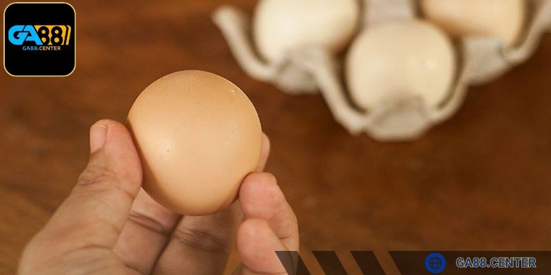 Nên chọn trứng có kích thước đồng đều nhau để nuôi