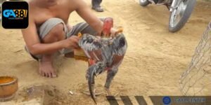 Cần có đủ nguyên liệu vào nghệ hiệu quả