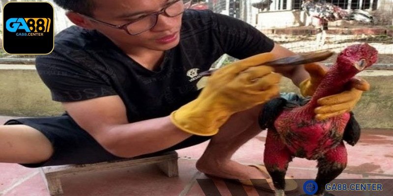 Cần quét hỗn hợp vừa đủ lên các vùng da cần thiết