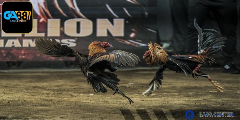 Hệ thống GA88 cung cấp trải nghiệm giải trí chất lượng cao