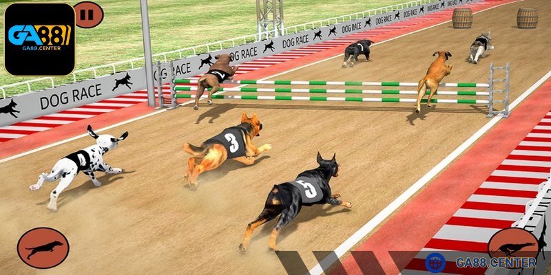 Phân tích odds trước khi cược