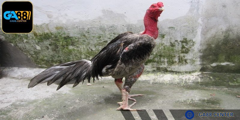 Lưu ý chọn lựa, dùng thuốc an toàn