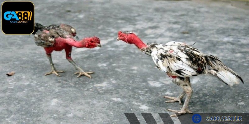 Mẹo sử dụng thuốc bổ